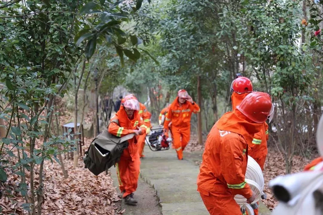 清明時節(jié)，區(qū)長緊盯森林防火，要求必須全力以赴，嚴防死守！