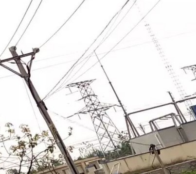 看看這些電力人的春季巡檢！