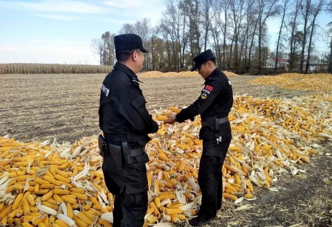 禁燒秸稈走田間、共鑄警魂保藍天