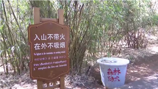 贊！雞足山景區(qū)連續(xù)35年無森林火災(zāi)，因為他們...