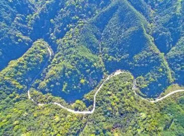 智能化，讓森林防火監(jiān)控管護更“智慧”