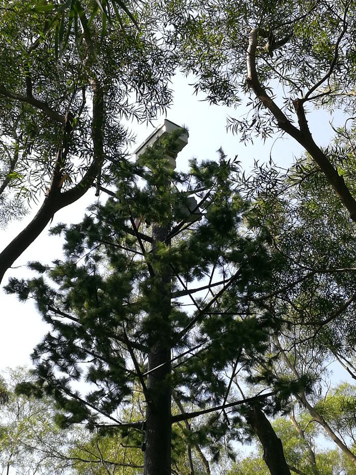 ?森林火災(zāi)風(fēng)險普查工作任重而道遠(yuǎn)，華瑞通發(fā)揮行業(yè)優(yōu)勢
